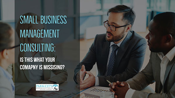 Small Business Management Consulting: Is This What Your Business is Missing?